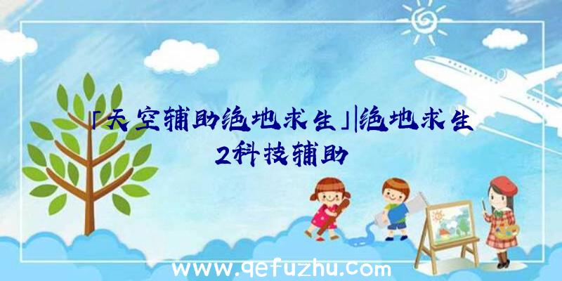 「天空辅助绝地求生」|绝地求生2科技辅助